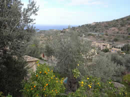 deia view from village to sea